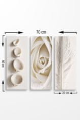 Hanah Home Sada obrazů Bílá růže 20x50 cm 3 ks