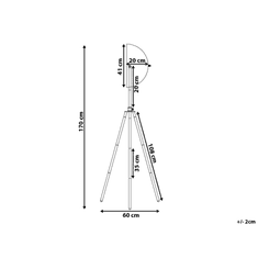 Beliani Stojací lampa černo-zlatá THAMES