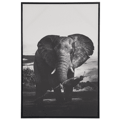 Beliani Zarámovaný obraz na plátně slon 63 x 93 cm šedý NIBBIA