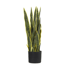 Beliani Umělá rostlina v květináči 63 cm SNAKE PLANT