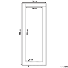 Beliani Nástěnné zrcadlo 50 x 130 cm zlaté / stříbrné FENIOUX