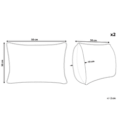 Beliani Sada 2 polštářů s abstraktním vzorem 30 x 50 cm vícebarevný BROWALIA