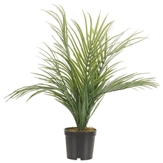 Beliani Umělá rostlina v květináči 45 cm ARECA PALM