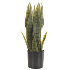 Beliani Umělá rostlina v květináči 40 cm SNAKE PLANT