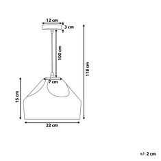 Beliani Černá stropní lampa EVINOS