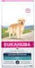 Eukanuba Golden Retriever 12 kg