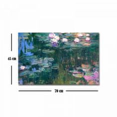 Hanah Home Obraz WATER LILIES od C. MONETA 45x70 cm