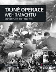 Gabrielle Faggioni: Tajné operace Wehrmachtu - Útočné plány z let 1939–1945