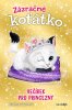 Hayley Daze: Zázračné koťátko Večírek pro princezny