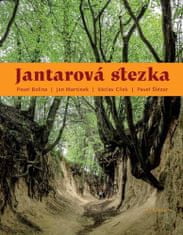 Pavel Bolina: Jantarová stezka