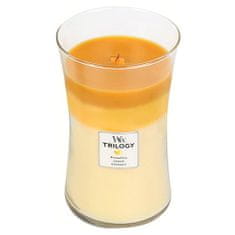 Woodwick Trilogy velká svíčka Fruits of Summer 609.5 g