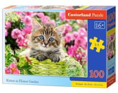 Castorland Puzzle Kotě v květinové zahradě 100 dílků