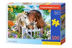 Castorland Puzzle Nejlepší přátelé 100 dílků