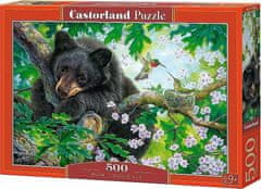 Castorland Puzzle Kéž bych mohl létat 500 dílků