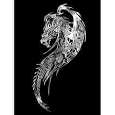 Avisa Samolepicí dekor drak