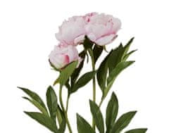 Lene Bjerre Pivoňka (Paeonia) růžová s poupětem, 85 cm