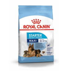 Royal Canin SHN MAXI STARTER M&B 4Kg -pro feny velkých plemen a jejich štěňata