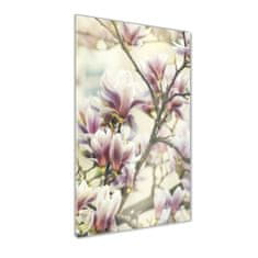 Wallmuralia Vertikální Foto-obrah sklo tvrzené Magnolie 50x125 cm 4 úchytky