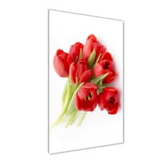 Wallmuralia Vertikální Fotoobraz na skle Červené tulipány 50x100 cm 2 úchytky