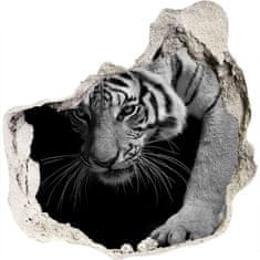 Wallmuralia Díra 3D foto tapeta nálepka Tygr 100x100 cm