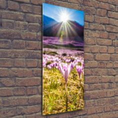 Wallmuralia Vertikální Foto obraz skleněný svislý Šafrán v horách 50x125 cm 2 úchytky