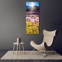 Wallmuralia Vertikální Foto obraz skleněný svislý Šafrán v horách 50x125 cm 2 úchytky