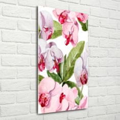 Wallmuralia Vertikální Foto-obrah sklo tvrzené Orchidej 50x100 cm 4 úchytky