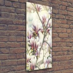 Wallmuralia Vertikální Foto-obrah sklo tvrzené Magnolie 50x125 cm 4 úchytky