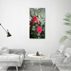 Wallmuralia Vertikální Foto-obraz fotografie na skle Kamélie 60x120 cm 2 úchytky