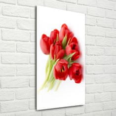 Wallmuralia Vertikální Fotoobraz na skle Červené tulipány 50x100 cm 2 úchytky