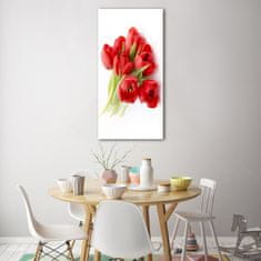 Wallmuralia Vertikální Fotoobraz na skle Červené tulipány 50x100 cm 2 úchytky