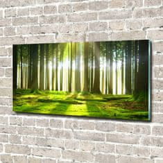 Wallmuralia Foto-obrah sklo tvrzené Les slunce 140x70 cm 4 úchytky