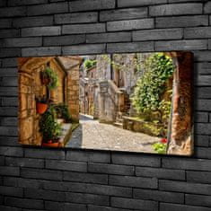 Wallmuralia Foto obraz canvas Okouzlující ulička 100x50 cm