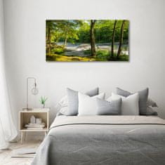 Wallmuralia Foto obraz skleněný horizontální Řeka v lese 120x60 cm 4 úchytky