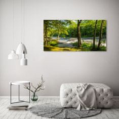 Wallmuralia Foto obraz skleněný horizontální Řeka v lese 125x50 cm 2 úchytky