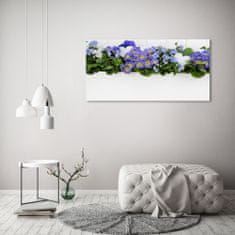 Wallmuralia Foto-obrah sklo tvrzené Modré květiny 125x50 cm 4 úchytky