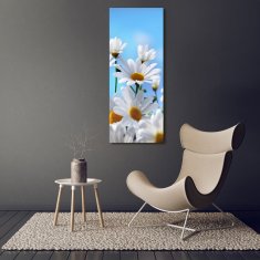 Wallmuralia Vertikální Foto obraz sklo tvrzené Sedmikrásky 50x125 cm 2 úchytky