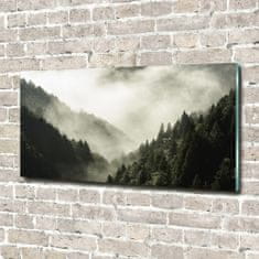 Wallmuralia Foto obraz fotografie na skle Mlha nad lesem 120x60 cm 2 úchytky