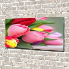 Wallmuralia Foto obraz fotografie na skle Barevné tulipány 140x70 cm 4 úchytky