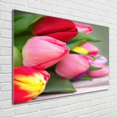 Wallmuralia Foto obraz fotografie na skle Barevné tulipány 100x70 cm 2 úchytky