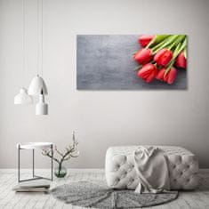 Wallmuralia Foto obraz fotografie na skle Červené tulipány 125x50 cm 2 úchytky