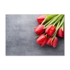 Wallmuralia Foto obraz fotografie na skle Červené tulipány 100x70 cm 4 úchytky