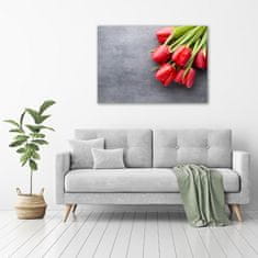 Wallmuralia Foto obraz fotografie na skle Červené tulipány 100x70 cm 4 úchytky