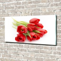 Wallmuralia Foto obraz skleněný horizontální Červené tulipány 140x70 cm 2 úchytky