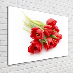Wallmuralia Foto obraz skleněný horizontální Červené tulipány 100x70 cm 4 úchytky