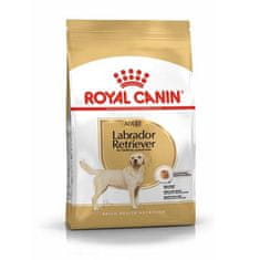 Royal Canin BHN LABRADOR ADULT 12kg -suché krmivo pro dospělé psy plemene Labrador