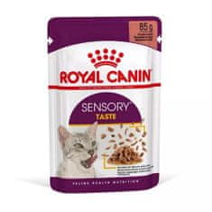 Royal Canin FHN Sensory Taste gravy 85g kapsička pro kočky senzorická chuť