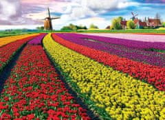 EuroGraphics EUROGRAPHICS Puzzle Pole tulipánů 1000 dílků