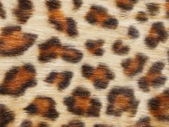 Beliani Hnědý leopardí koberec NAMBUNG