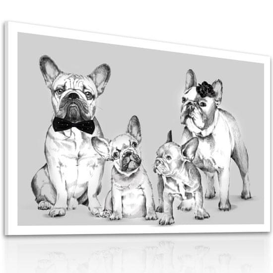 LUDESIGN Obraz na plátně BULDOG FAMILY IN BW - A různé rozměry Ludesign ludesign obrazy: 70x50 cm